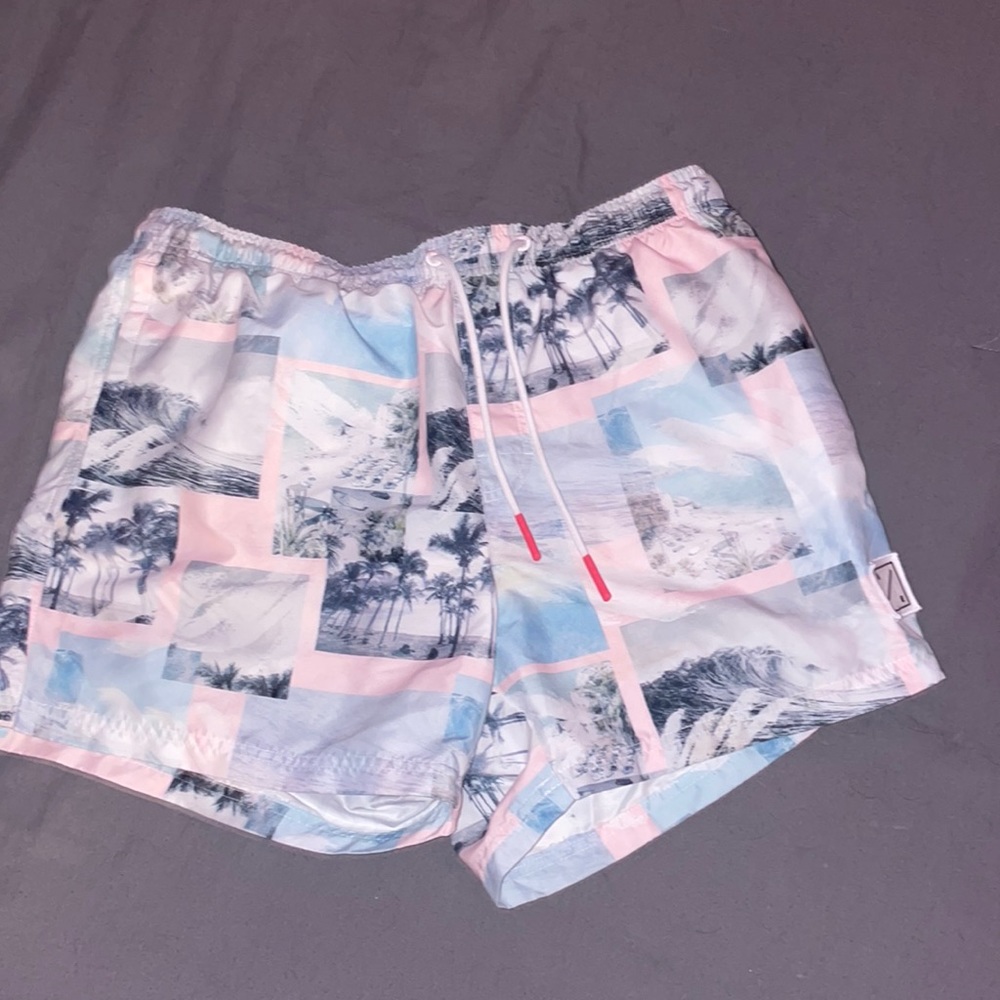 Hollister Mens Bathingsuit
